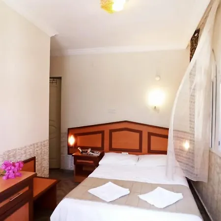 Pensión Ideal 5*