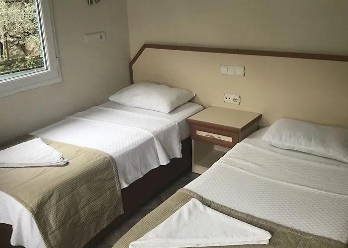 Hotel Ideal 5*
